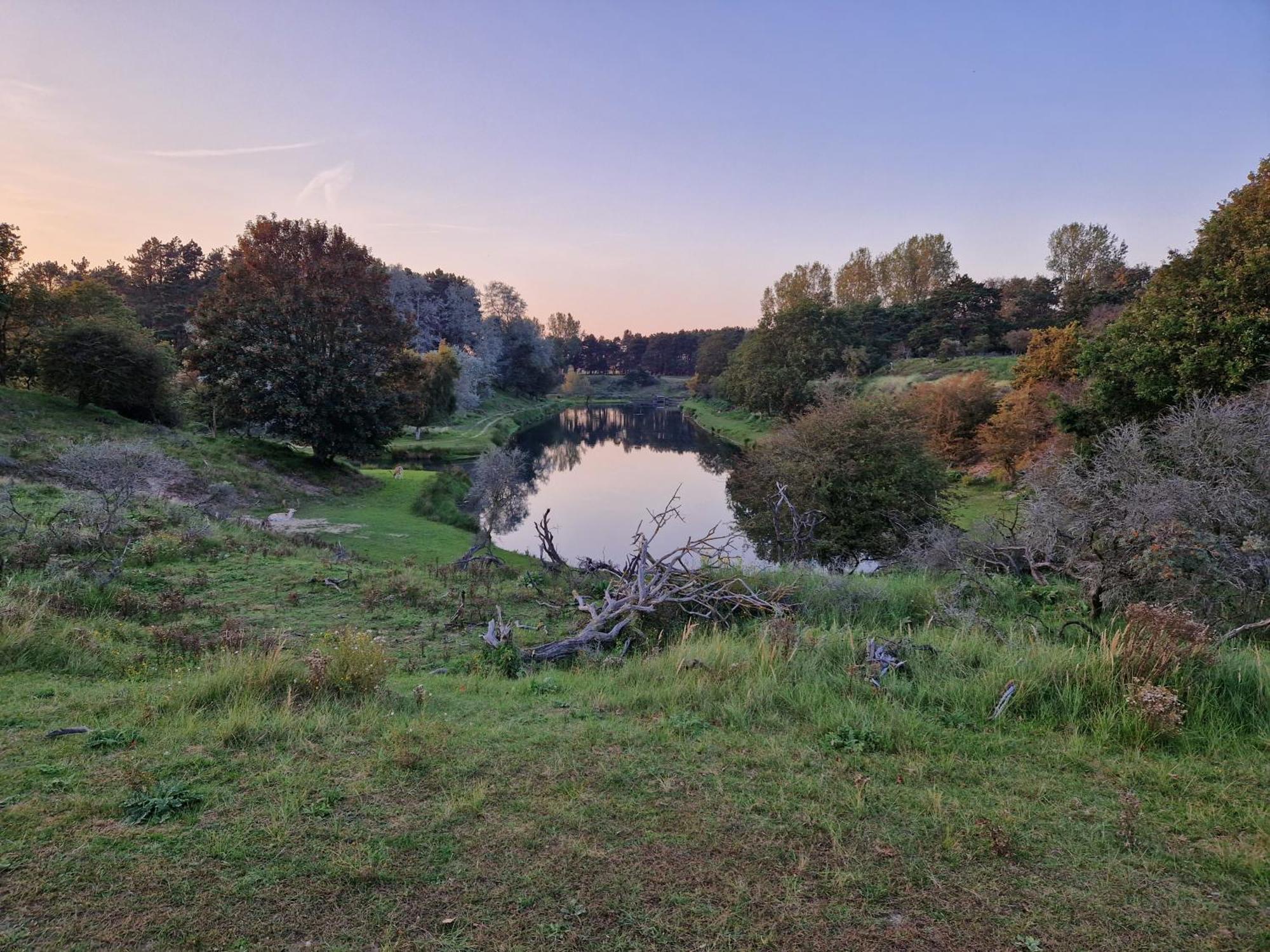 Duin-Vliet Bed & Breakfast Bentveld ภายนอก รูปภาพ