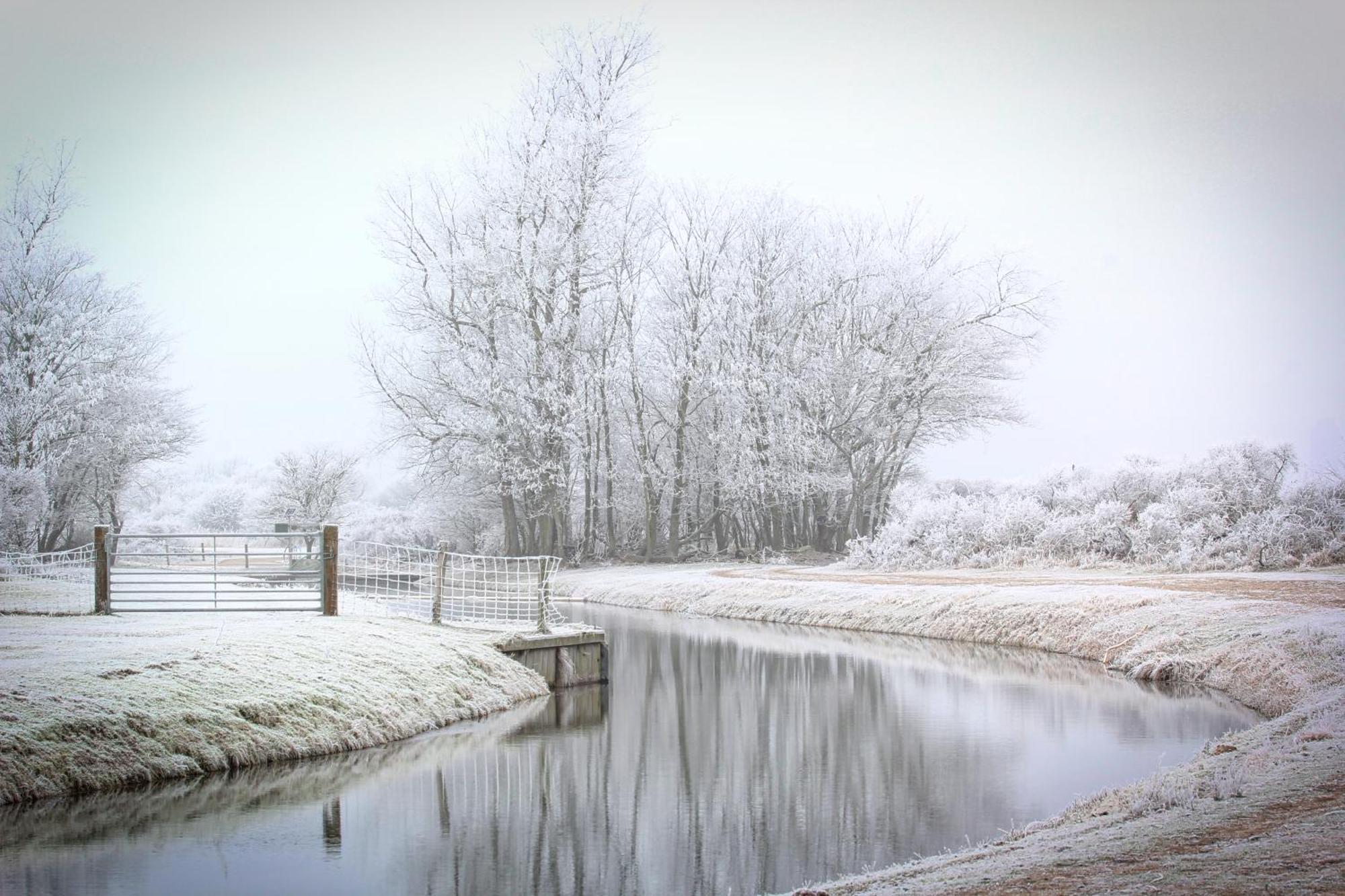 Duin-Vliet Bed & Breakfast Bentveld ภายนอก รูปภาพ